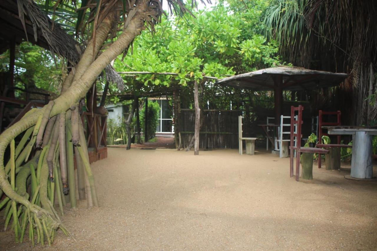 Happy Cocos Beach House Waskaduwa Ngoại thất bức ảnh