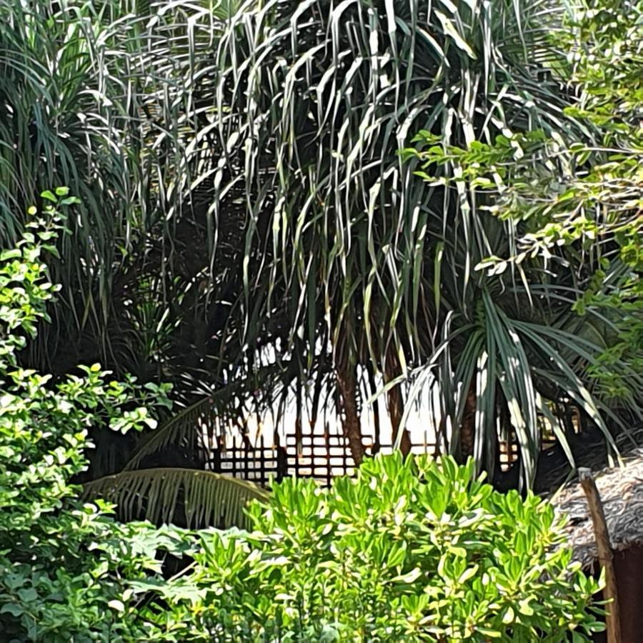 Happy Cocos Beach House Waskaduwa Ngoại thất bức ảnh